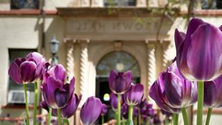 Image of purple flowers in front of Brown Hall