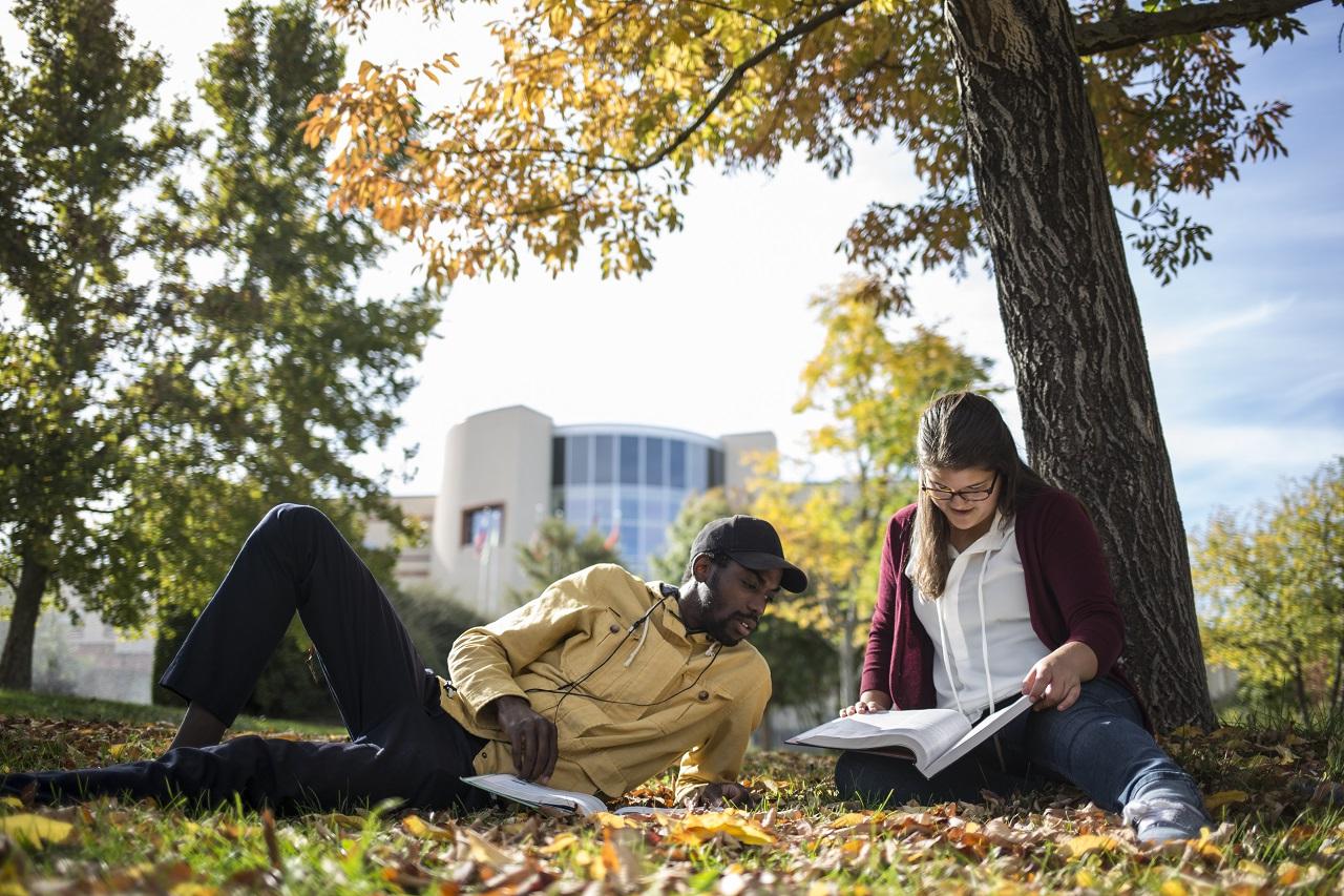 Two students studying under a tree in a courtyard on campus surrounded by yellow, red, and orange leaves that have fallen from the tree above them.